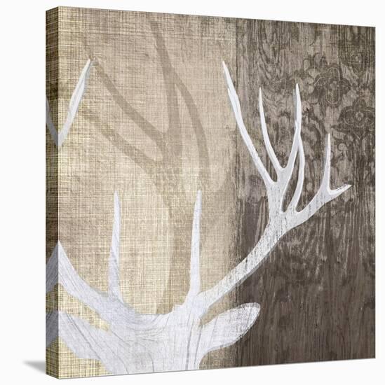 Deer Lodge II-Tandi Venter-Stretched Canvas