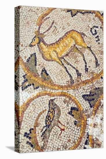 Deer mosaic, New House Of Hunt, Bulla Regia Archaeological Site, Tunisia-Nico Tondini-Premier Image Canvas