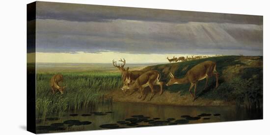 Deer on the Prairie, 1884-William Holbrook Beard-Stretched Canvas