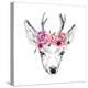 Deer Pencil Drawing with Watercolor Flowers-Maria Sem-Stretched Canvas