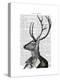 Deer Portrait 2-Fab Funky-Stretched Canvas