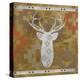 Deer Rack-Erin Clark-Premier Image Canvas