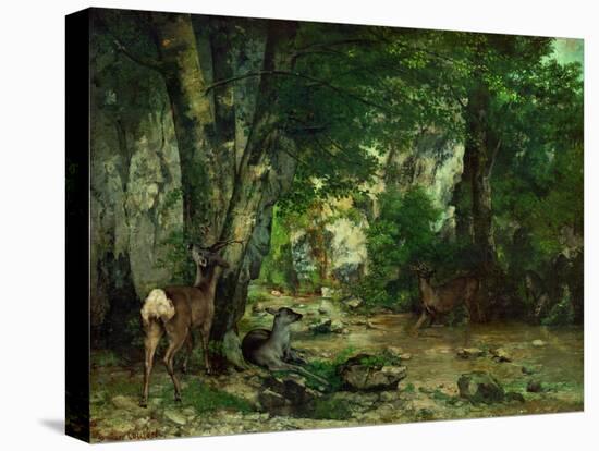 Deer Reserve at Plaisir Fontaine, 1866-Gustave Courbet-Premier Image Canvas