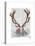 Deer Skull with Flowers 1-Fab Funky-Stretched Canvas