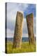 Deer stones with inscriptions, 1000 BC, Mongolia.-Tom Norring-Premier Image Canvas