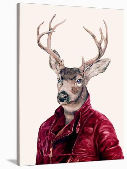 Deer-Animal Crew-Stretched Canvas