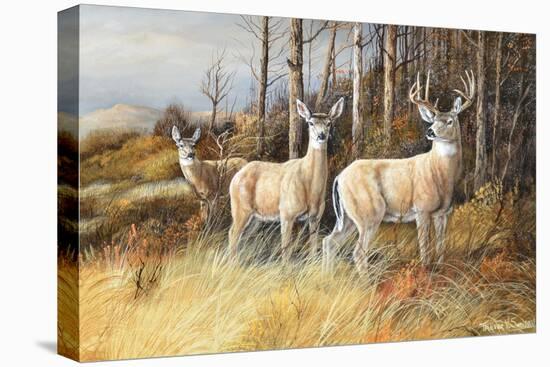 Deer-Trevor V. Swanson-Premier Image Canvas