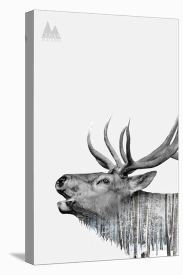 Deer-PhotoINC-Stretched Canvas