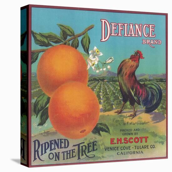 Defiance Orange Label - Venice Cove, CA-Lantern Press-Stretched Canvas