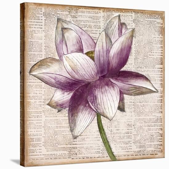 Defined Lotus I-Patricia Pinto-Stretched Canvas