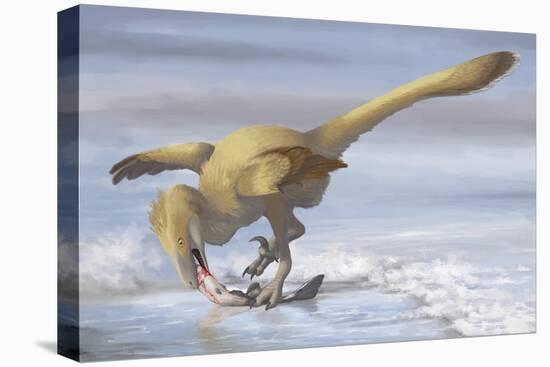 Deinonychus Antirrhopus Preys on a Fish-null-Stretched Canvas