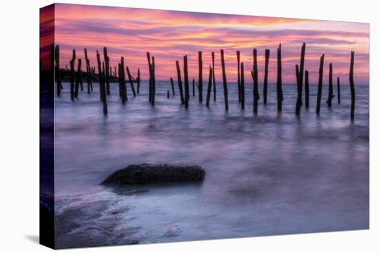 Delaware Bay Sunrise-michaelmill-Premier Image Canvas