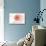 Delaware - Compass - Coral - Coastal Icon-Lantern Press-Stretched Canvas displayed on a wall