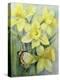 Delias Mysis (Union Jack) Butterfly on Daffodils-Karen Armitage-Premier Image Canvas