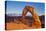 Delicate Arch, Arches National Park, Near Moab, Utah, United States of America, North America-Neale Clark-Premier Image Canvas