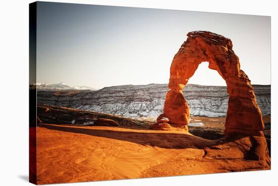 Delicate Arch In The Arches National Park In Utah-Ron Koeberer-Stretched Canvas