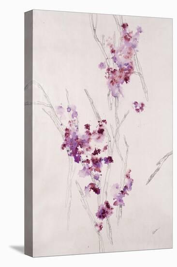 Delicate Blossoms I-Rikki Drotar-Premier Image Canvas