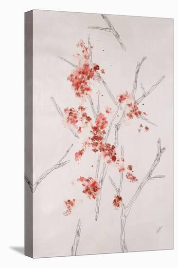 Delicate Blossoms II-Rikki Drotar-Premier Image Canvas