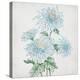 Delicate Botanical Blue II-Alex Black-Stretched Canvas