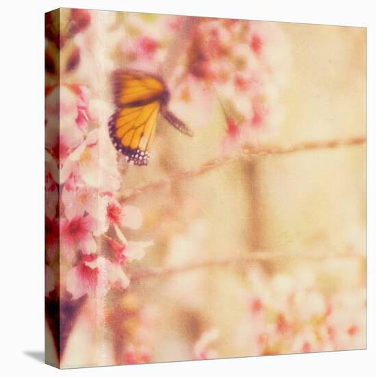 Delicate Butterly and Flowers-Myan Soffia-Premier Image Canvas