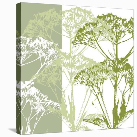 Delicate Greens-Erin Clark-Stretched Canvas