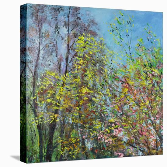 Delicate Leaves of Spring-Sylvia Paul-Premier Image Canvas