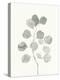 Delicate Sage Botanical I-Emma Caroline-Stretched Canvas
