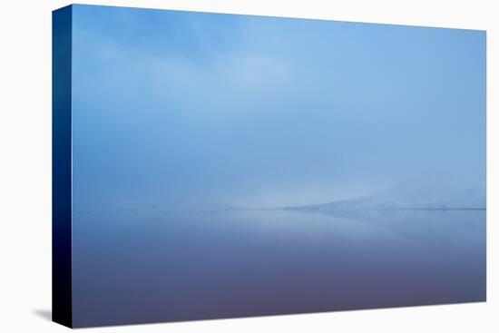 Delicately Colored, Fog Shrouded, Laguna Colorada at Sunrise-Alex Saberi-Premier Image Canvas