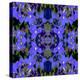 Delphinium X2-Rose Anne Colavito-Stretched Canvas