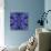 Delphinium X2-Rose Anne Colavito-Stretched Canvas displayed on a wall