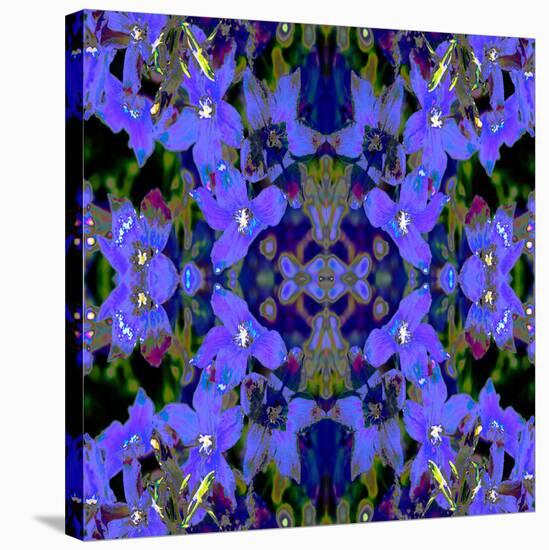 Delphinium X2-Rose Anne Colavito-Stretched Canvas