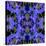 Delphinium X2-Rose Anne Colavito-Stretched Canvas