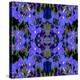 Delphinium X2-Rose Anne Colavito-Stretched Canvas