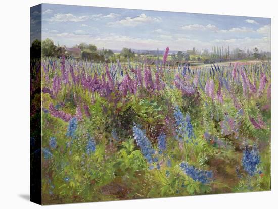 Delphiniums and Poppies, 1991-Timothy Easton-Premier Image Canvas