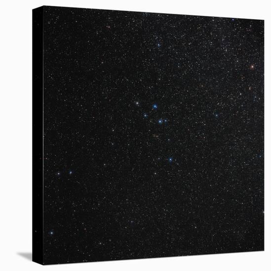 Delphinus Constellation-Eckhard Slawik-Premier Image Canvas