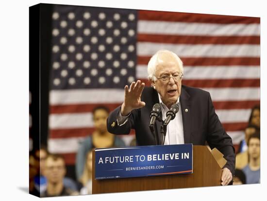 DEM 2016 Sanders-Steve Helber-Premier Image Canvas