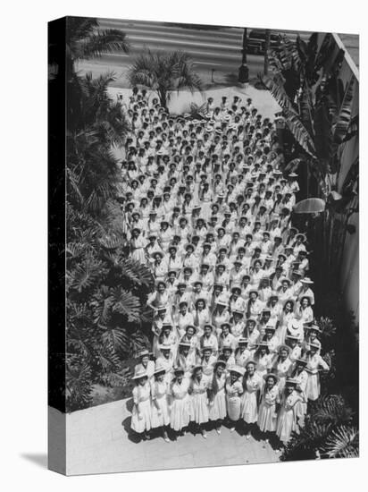 Democratic 'Golden Girls', Hostesses For Democratic National Convention Ready to Greet Delegates-J^ R^ Eyerman-Premier Image Canvas