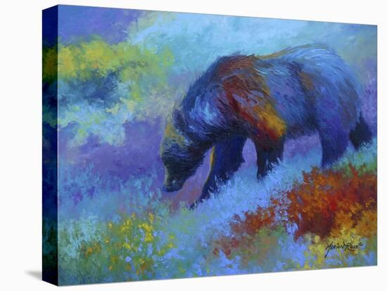 Denali Grizzly-Marion Rose-Premier Image Canvas