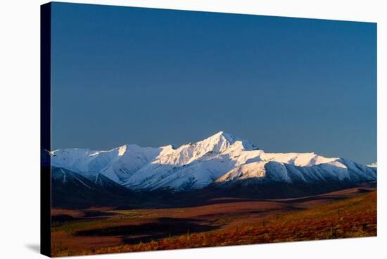 Denali In The Fall On A Clear Day-Lindsay Daniels-Stretched Canvas