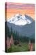 Denali National Park, Alaska - Bears and Spring Flowers-Lantern Press-Stretched Canvas