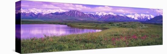 Denali National Park, Alaska, USA-null-Premier Image Canvas