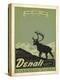 Denali National Park II-Anderson Design Group-Stretched Canvas