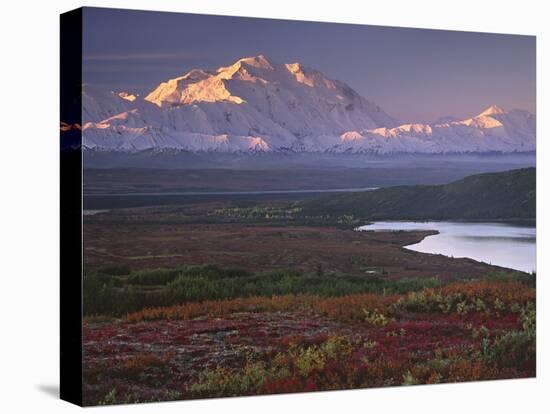 Denali National Park near Wonder Lake, Alaska, USA-Charles Sleicher-Premier Image Canvas