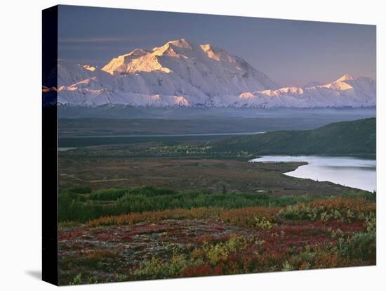 Denali National Park near Wonder lake, Alaska, USA-Charles Sleicher-Premier Image Canvas