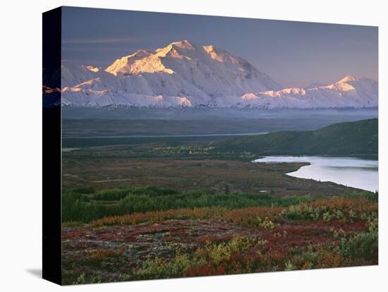 Denali National Park near Wonder lake, Alaska, USA-Charles Sleicher-Premier Image Canvas