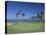 Denarau Golf Course, Danarau, Viti Levu, Fiji-Neil Farrin-Premier Image Canvas