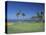 Denarau Golf Course, Danarau, Viti Levu, Fiji-Neil Farrin-Premier Image Canvas