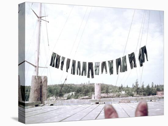 Denim Blue Jeans Hanging on Laudry Line to Dry, Seattle, Washington, 1950-Loomis Dean-Premier Image Canvas