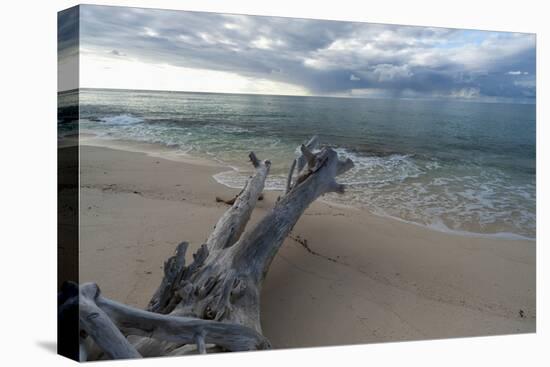 Denis Island, Seychelles-Sergio Pitamitz-Premier Image Canvas