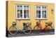 Denmark, Zealand, Soro, Traditional Danish Houses, Sogade Street-Walter Bibikow-Premier Image Canvas